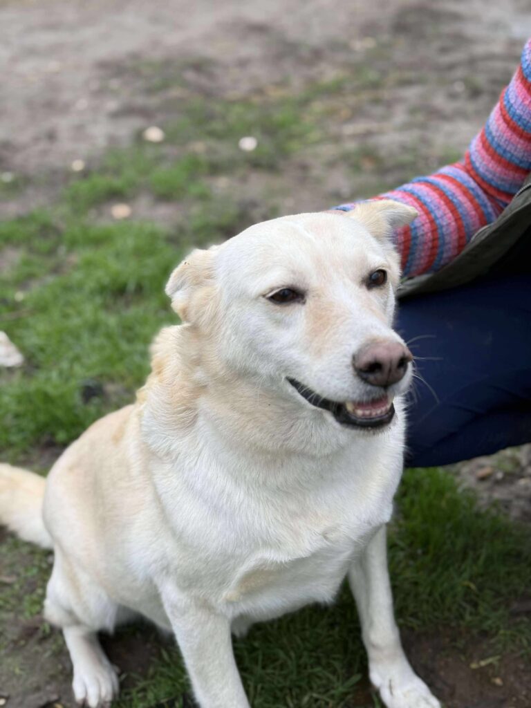 Received 855238716968344