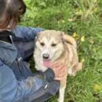 Received 856890106991866