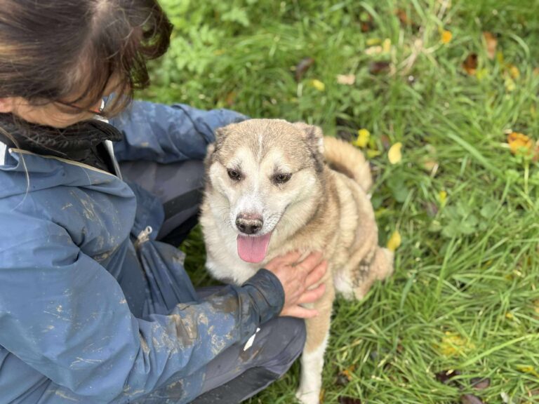 Received 856890106991866