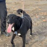 Received 857537106723134