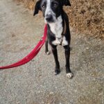 Received 861975209669132