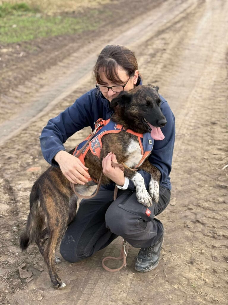 Received 863004206238463