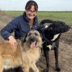 Received 869083568986465