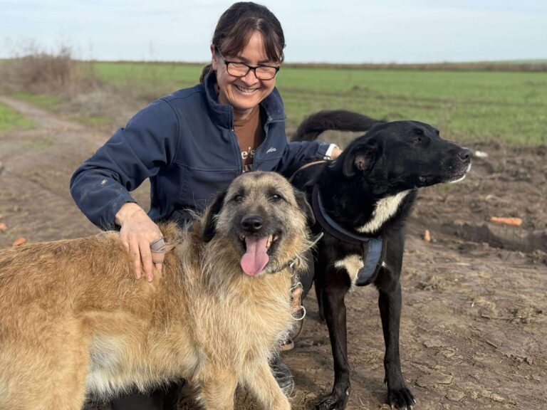 Received 869083568986465