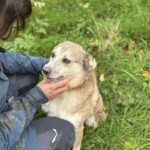 Received 874832278299971