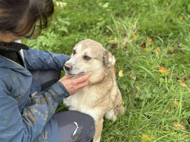 Received 874832278299971