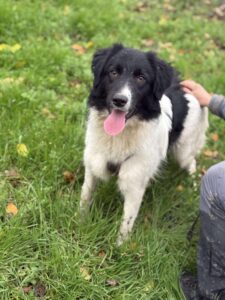 Received 876826988241804