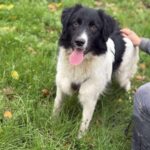 Received 876826988241804