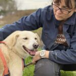 Received 888683836826907