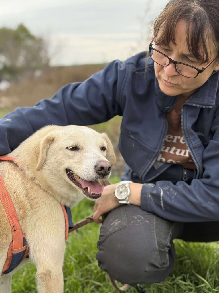 Received 888683836826907