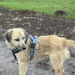 Received 889220543673557