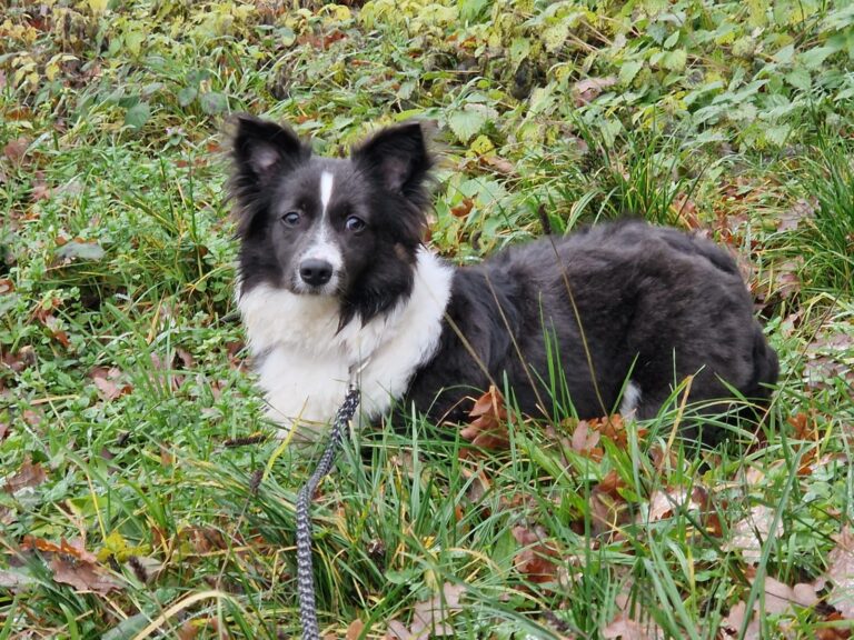 313f20ad 6f1a 49a0 b7fb 0b712b535711