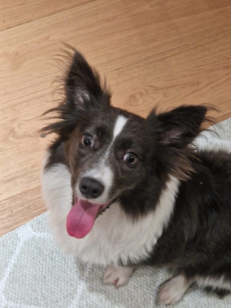 4308d741 8b11 441b 9802 2936d8390d14