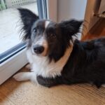 4961fb04 37f7 4071 853c 7e3477da67b3