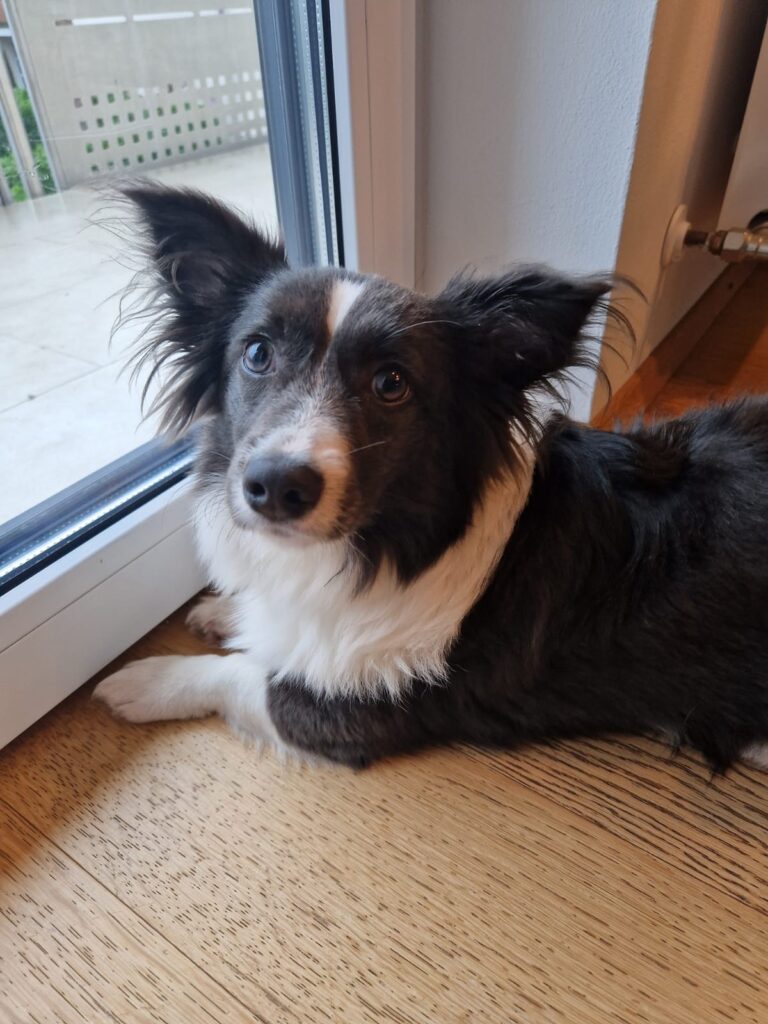 4961fb04 37f7 4071 853c 7e3477da67b3