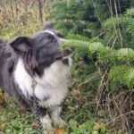 786422d3 4bc2 4e64 a965 6fed278e1f7b