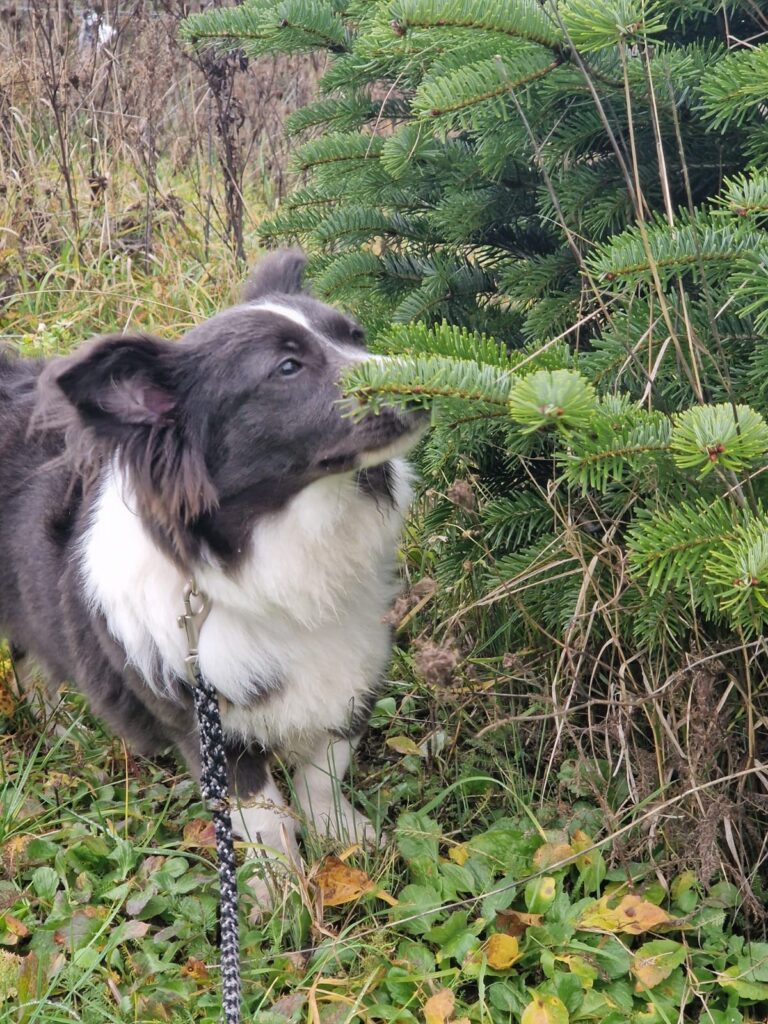 786422d3 4bc2 4e64 a965 6fed278e1f7b