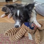 8019d2c2 1ccf 4870 b1c0 c9548bee20be