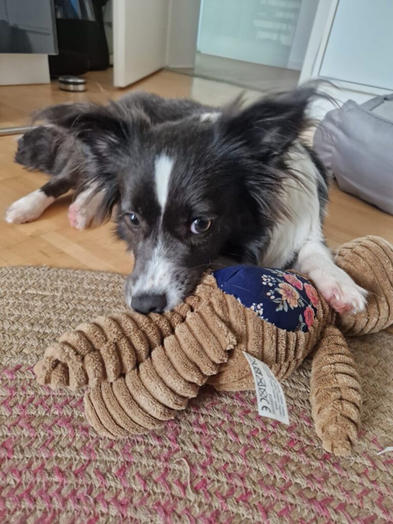 8019d2c2 1ccf 4870 b1c0 c9548bee20be