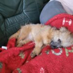 Messenger creation 81c12649 2080 47cc 8225 3c3282bd19e9