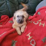 Messenger creation a2e0610c 22f2 4454 bbdd c82db43be967