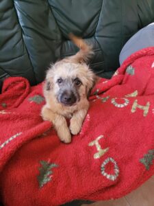 Messenger creation a2e0610c 22f2 4454 bbdd c82db43be967