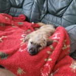 Messenger creation d8d99e37 2844 470e 94ff 2e1315e774a4