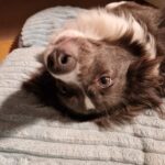 A25d6c28 b8d3 47bf 9ec9 a5e1016c3b1b