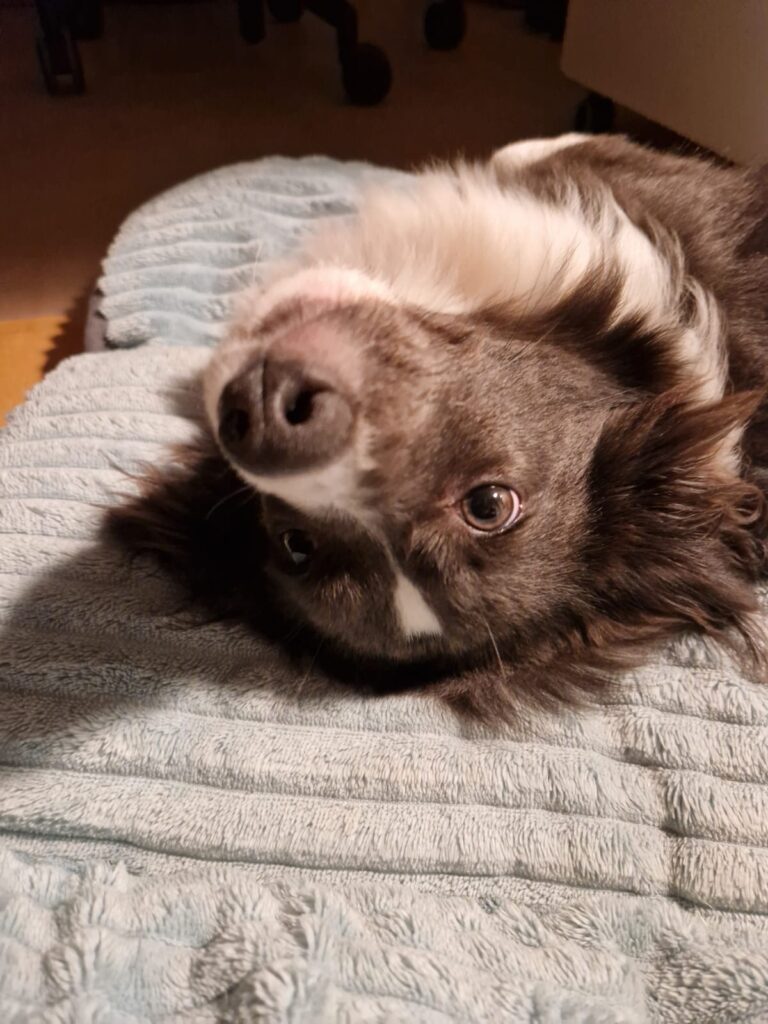 A25d6c28 b8d3 47bf 9ec9 a5e1016c3b1b