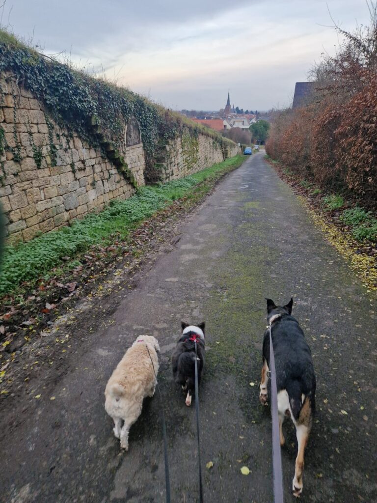 A896831a 1984 433e 9292 a9952d80c02a