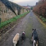 A896831a 1984 433e 9292 a9952d80c02a