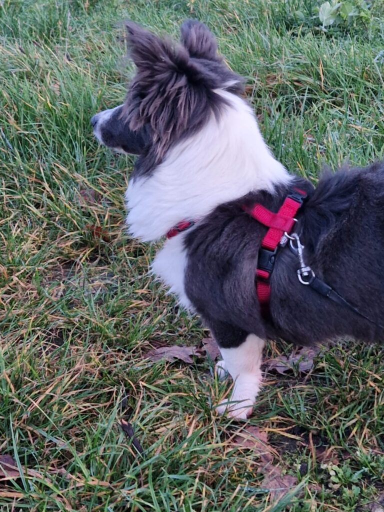 Ac5e557e 481e 472b ab20 d8bc4348a582