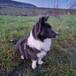 D2cd00df bfb0 4b63 9f0e d5fc631a52e7