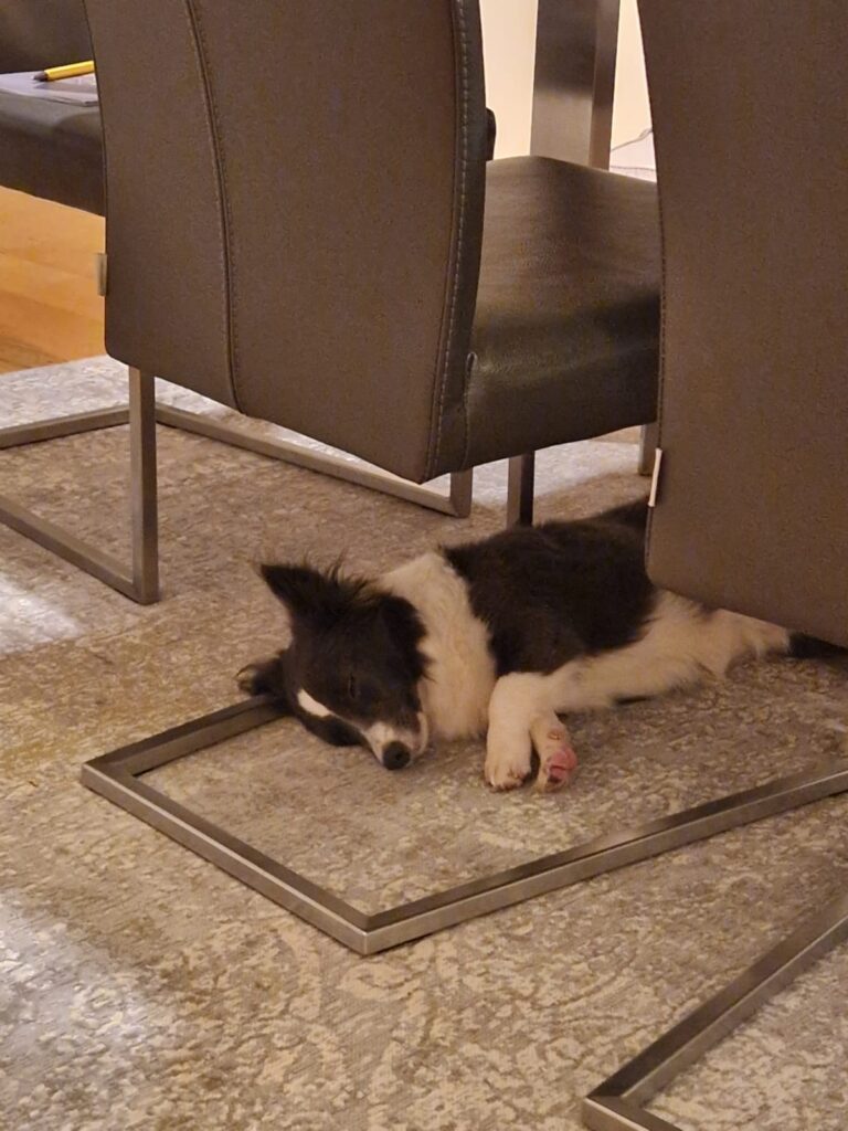 E34c507f 519d 4295 a966 61eb5e321cf2