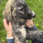 Received 1173642244206525