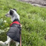 Received 1184001880491858