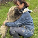 Received 1185705280211023