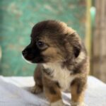 Received 1214401024049777