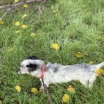 Received 1287620186716418