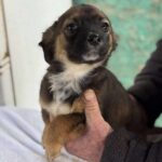 Received 1330878424995581