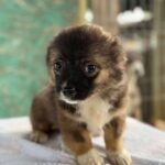 Received 1353502782911594