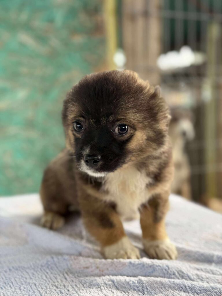 Received 1353502782911594