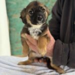 Received 1365777271851013