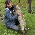 Received 1365861034904874