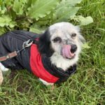 Received 1366019591889380