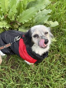 Received 1366019591889380