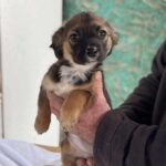 Received 1401544184669195