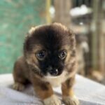 Received 1470657724733785