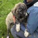 Received 1552264105786561