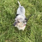 Received 2030697327686689